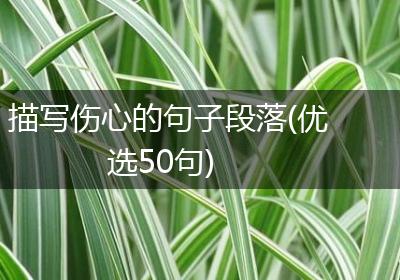 描写伤心的句子段落(优选50句)