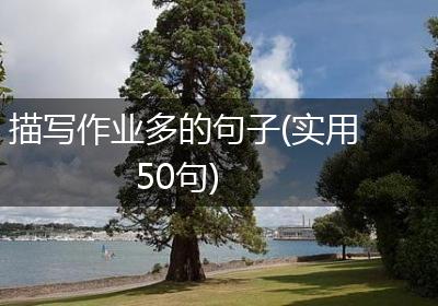 描写作业多的句子(实用50句)