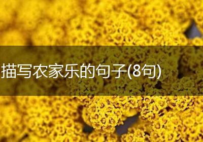 描写农家乐的句子(8句)