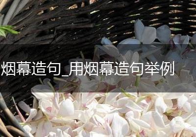 烟幕造句_用烟幕造句举例