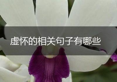 虚怀的相关句子有哪些