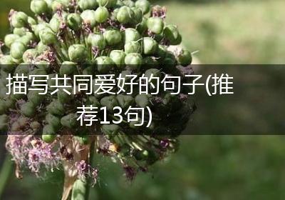 描写共同爱好的句子(推荐13句)