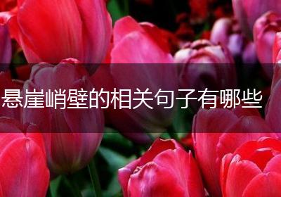 悬崖峭壁的相关句子有哪些