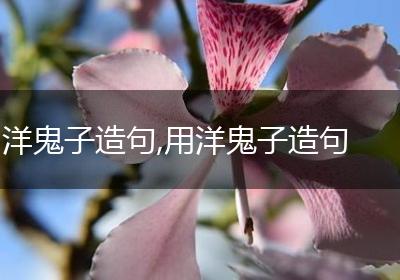 洋鬼子造句,用洋鬼子造句