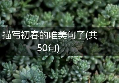 描写初春的唯美句子(共50句)
