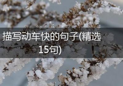 描写动车快的句子(精选15句)