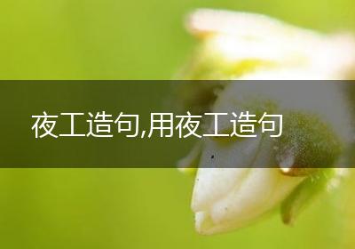 夜工造句,用夜工造句