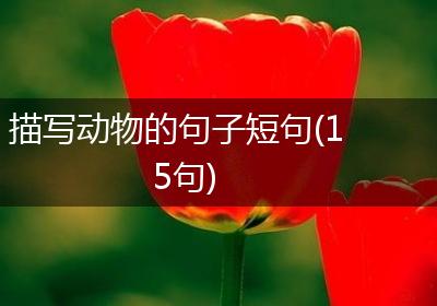 描写动物的句子短句(15句)