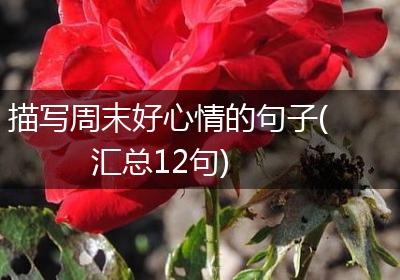描写周末好心情的句子(汇总12句)