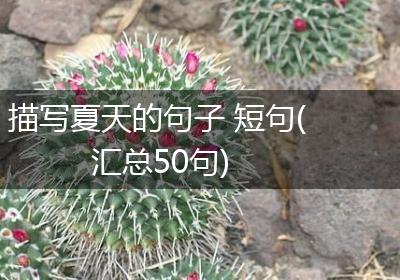 描写夏天的句子 短句(汇总50句)