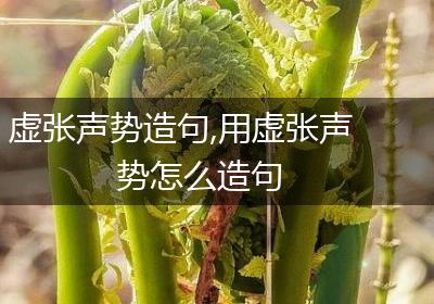 虚张声势造句,用虚张声势怎么造句