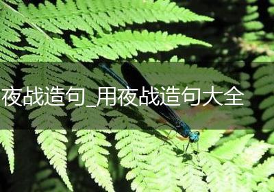 夜战造句_用夜战造句大全