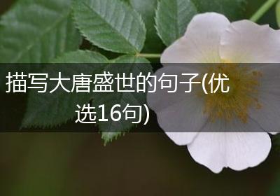 描写大唐盛世的句子(优选16句)