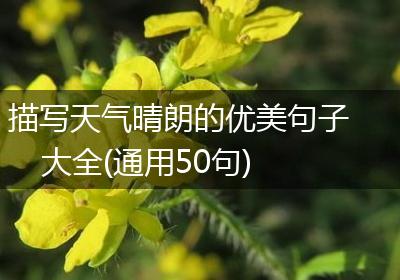 描写天气晴朗的优美句子大全(通用50句)