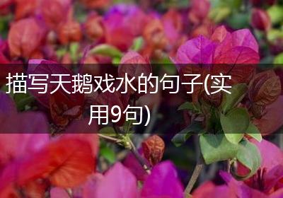 描写天鹅戏水的句子(实用9句)