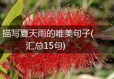 描写夏天雨的唯美句子(汇总15句)