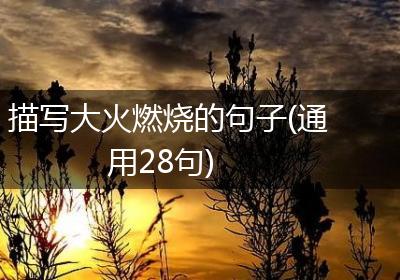 描写大火燃烧的句子(通用28句)