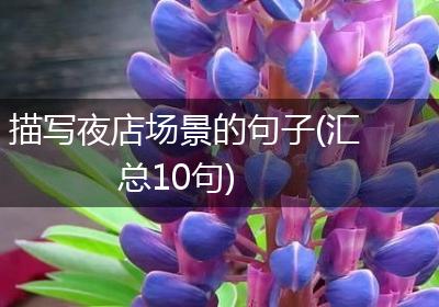 描写夜店场景的句子(汇总10句)