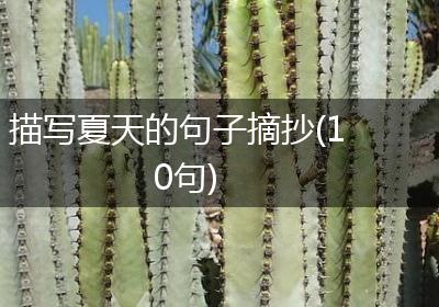 描写夏天的句子摘抄(10句)