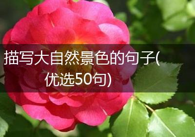 描写大自然景色的句子(优选50句)