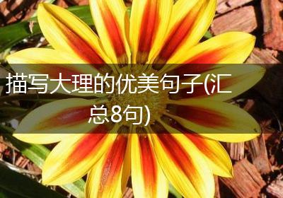 描写大理的优美句子(汇总8句)