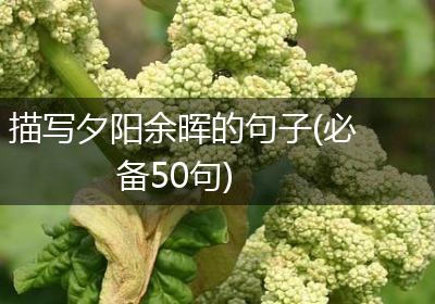 描写夕阳余晖的句子(必备50句)