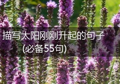 描写太阳刚刚升起的句子(必备55句)