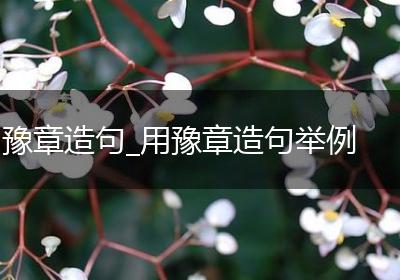 豫章造句_用豫章造句举例