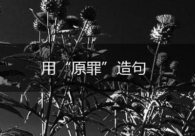用“原罪”造句
