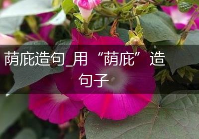 荫庇造句_用“荫庇”造句子