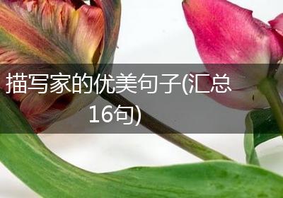 描写家的优美句子(汇总16句)