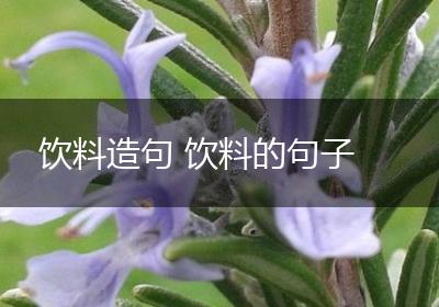 饮料造句 饮料的句子