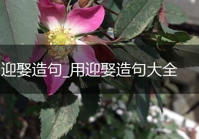 迎娶造句_用迎娶造句大全