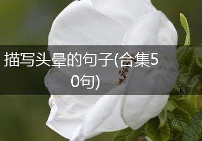 描写头晕的句子(合集50句)