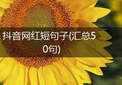 抖音网红短句子(汇总50句)