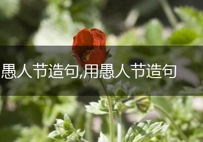 愚人节造句,用愚人节造句