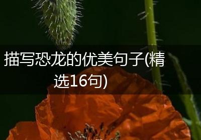 描写恐龙的优美句子(精选16句)