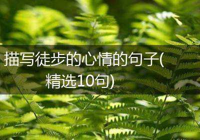 描写徒步的心情的句子(精选10句)