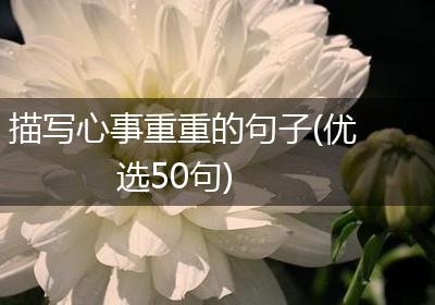 描写心事重重的句子(优选50句)