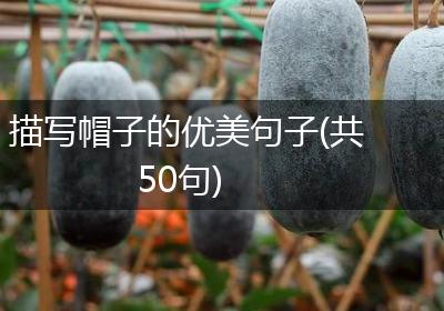 描写帽子的优美句子(共50句)