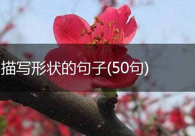 描写形状的句子(50句)