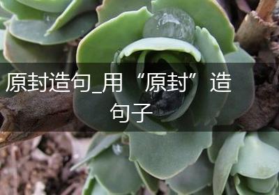 原封造句_用“原封”造句子