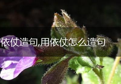 依仗造句,用依仗怎么造句