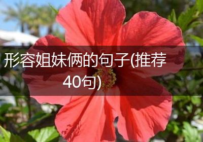 形容姐妹俩的句子(推荐40句)