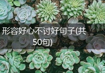 形容好心不讨好句子(共50句)