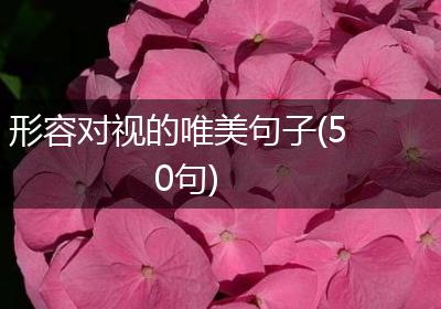 形容对视的唯美句子(50句)