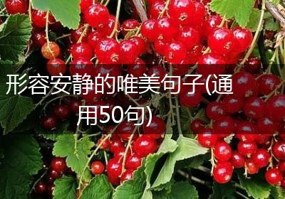 形容安静的唯美句子(通用50句)