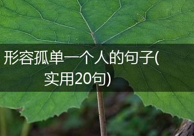 形容孤单一个人的句子(实用20句)