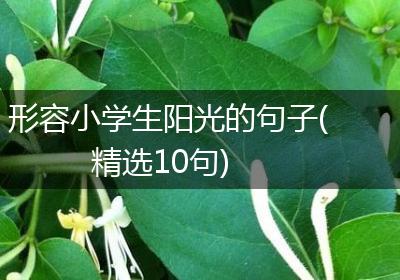形容小学生阳光的句子(精选10句)