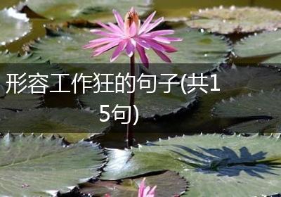 形容工作狂的句子(共15句)